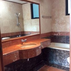 Spring Grove (D10), Condominium #465652551